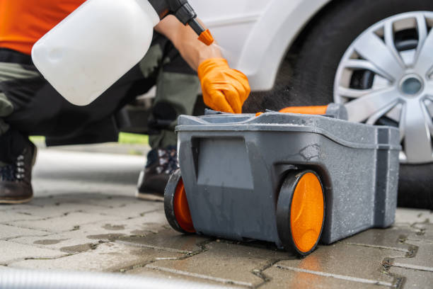 Best Tree Risk Assessment  in Ridgely, TN